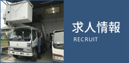 求人情報